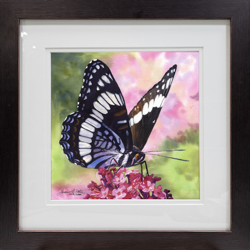 Click to view detail for Glowing Butterfly Wings 10x10 $800
